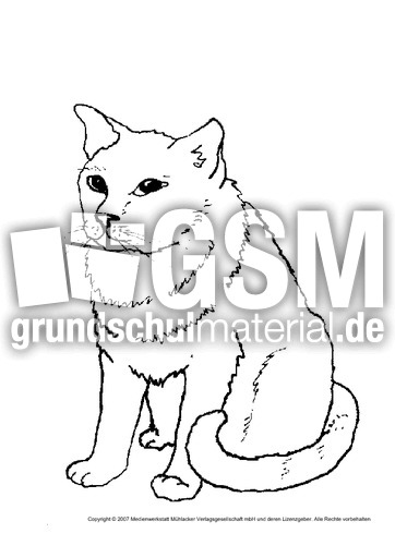 Katze-2.pdf